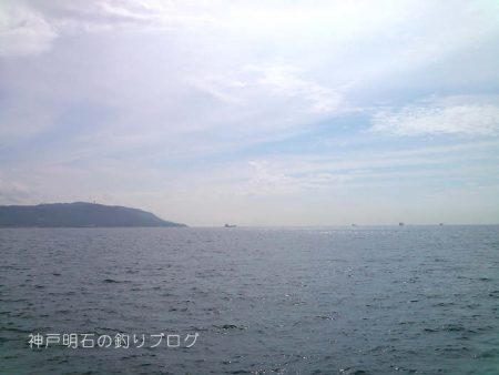 秋の小チヌの数釣り