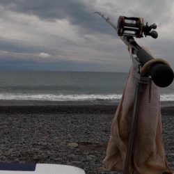 アジの半夜釣り