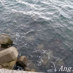 激シブタチウオ釣行