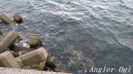 激シブタチウオ釣行