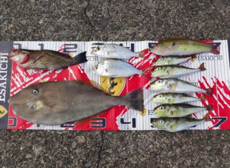 栄丸 釣果
