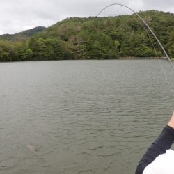 フィッシングレイクたかみや 釣果