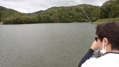 フィッシングレイクたかみや 釣果