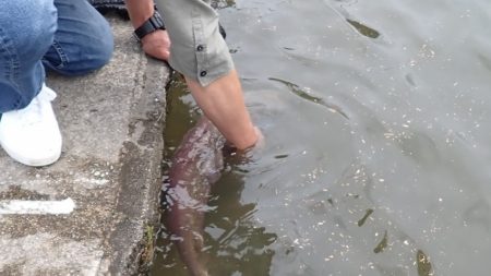 フィッシングレイクたかみや 釣果