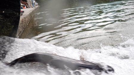 フィッシングレイクたかみや 釣果