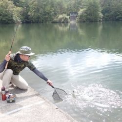 フィッシングレイクたかみや 釣果