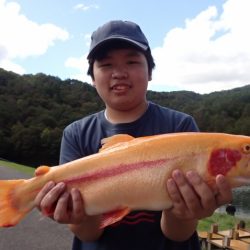 フィッシングレイクたかみや 釣果