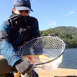 フィッシングレイクたかみや 釣果