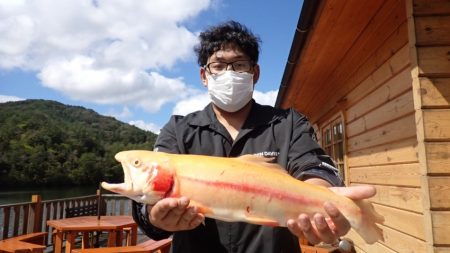 フィッシングレイクたかみや 釣果