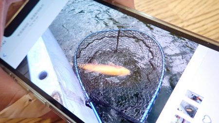 フィッシングレイクたかみや 釣果