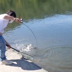 フィッシングレイクたかみや 釣果