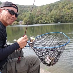 フィッシングレイクたかみや 釣果