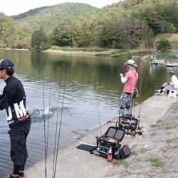 フィッシングレイクたかみや 釣果