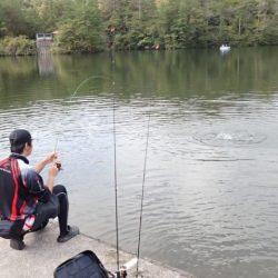 フィッシングレイクたかみや 釣果