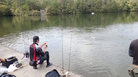 フィッシングレイクたかみや 釣果