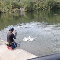 フィッシングレイクたかみや 釣果