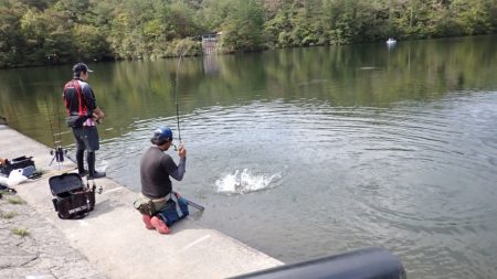 フィッシングレイクたかみや 釣果