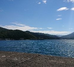 2週間ぶりのカワハギ釣り