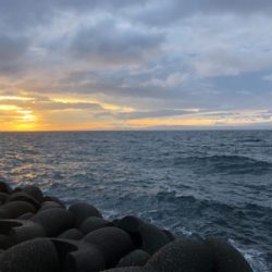 ショアジギング