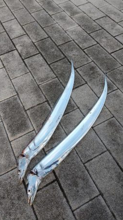 太刀魚リベンジ