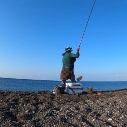 カツオ本格化・ヤイトカツオ(本スマ)も2匹混じる