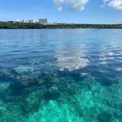 本部釣りイカダ 釣果