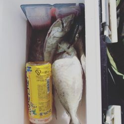 本部釣りイカダ 釣果