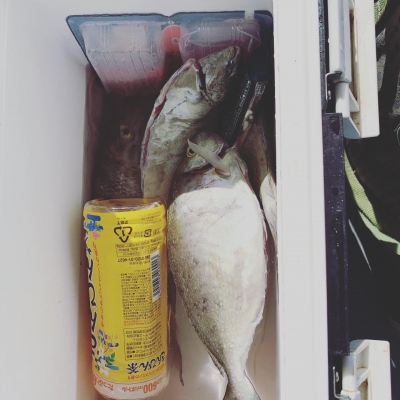 本部釣りイカダ 釣果