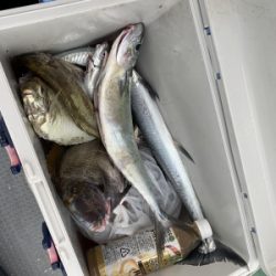 本部釣りイカダ 釣果