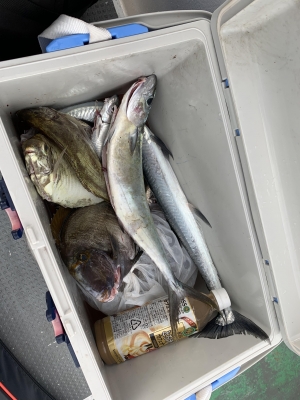 本部釣りイカダ 釣果