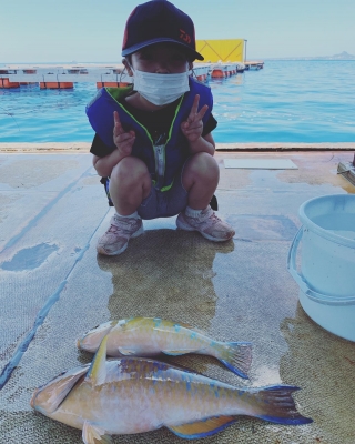 本部釣りイカダ 釣果