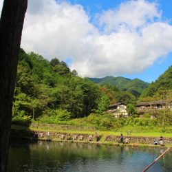 小菅トラウトガーデン 釣果