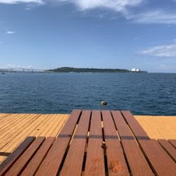 本部釣りイカダ 釣果