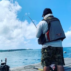 本部釣りイカダ 釣果