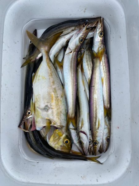 あみや渡船 釣果