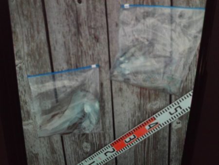 こかわ渡船　雅丸 釣果