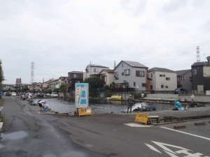朝霞ガーデン 釣果