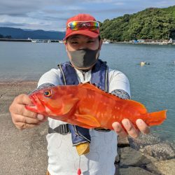 筏マルキ 釣果