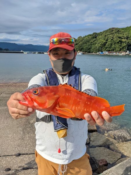 筏マルキ 釣果