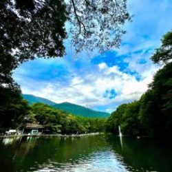 フィッシング サンクチュアリ 釣果