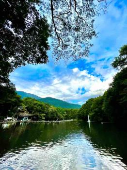 フィッシング サンクチュアリ 釣果