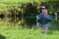 秩父フライフィールド 釣果