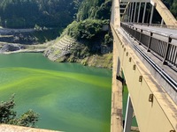 秩父フライフィールド 釣果