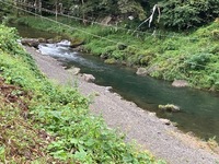 秩父フライフィールド 釣果