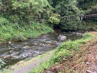 秩父フライフィールド 釣果