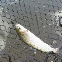 平谷湖フィッシングスポット 釣果