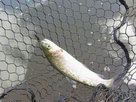 平谷湖フィッシングスポット 釣果