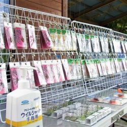 平谷湖フィッシングスポット 釣果