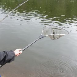 平谷湖フィッシングスポット 釣果