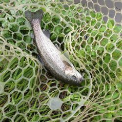 平谷湖フィッシングスポット 釣果